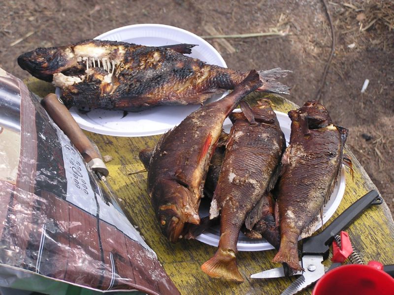 Рыба