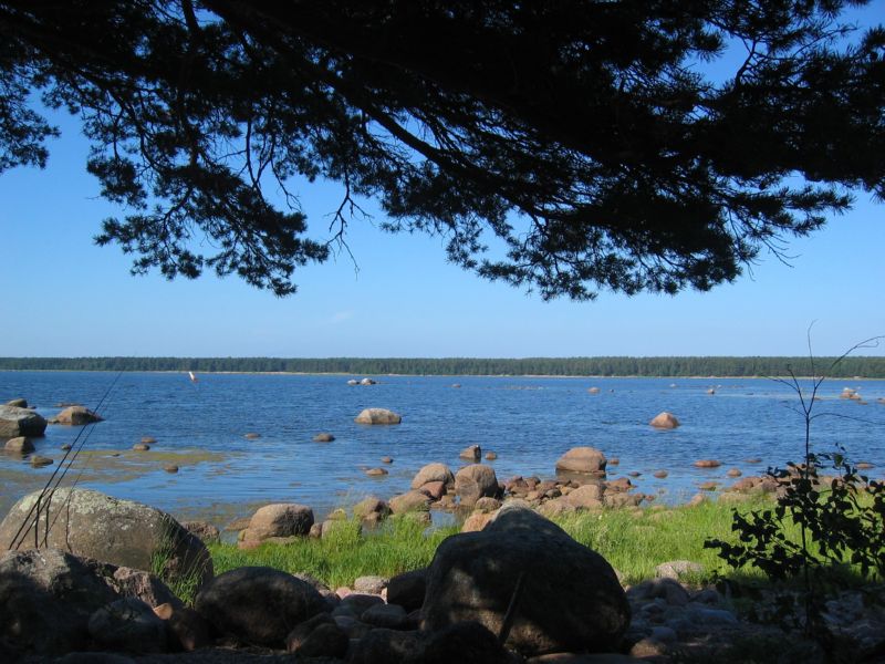 Пейзаж